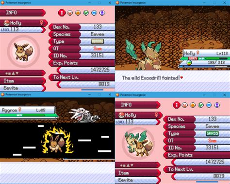pokemon insurgence eevee move tutor.